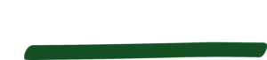 Southdown logo - reverse colour